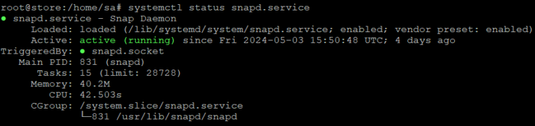 snapd service